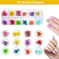 Getrocknete Blüten Nail Sticker, 2 Box 36 Stücke 3D Nail Art Kunstharz Blumen Sticker, Blüten Getrocknet Nagelkunst Trocken Blumen Nagel Zubehör für Nagel Dekor DIY Design avec 1 pince à épiler