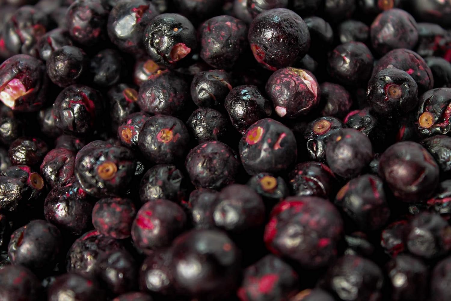 Cassis lyophilisés 250g - Fruits lyophilisés - Fruits secs lyophilisés - Cassis séchés pour pâtisserie, muesli, décoration gâteaux, desserts Produits déshydratés Naty Shop