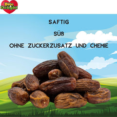 Dattes séchées Bite & Delight - Entières, séchées et naturelles - Bonbons aromatiques - Délicieuses et juteuses - Snacks aux fruits prêts à consommer - Vegan - Sans sucre ajouté - 1250g de produits déshydratés Naty Shop