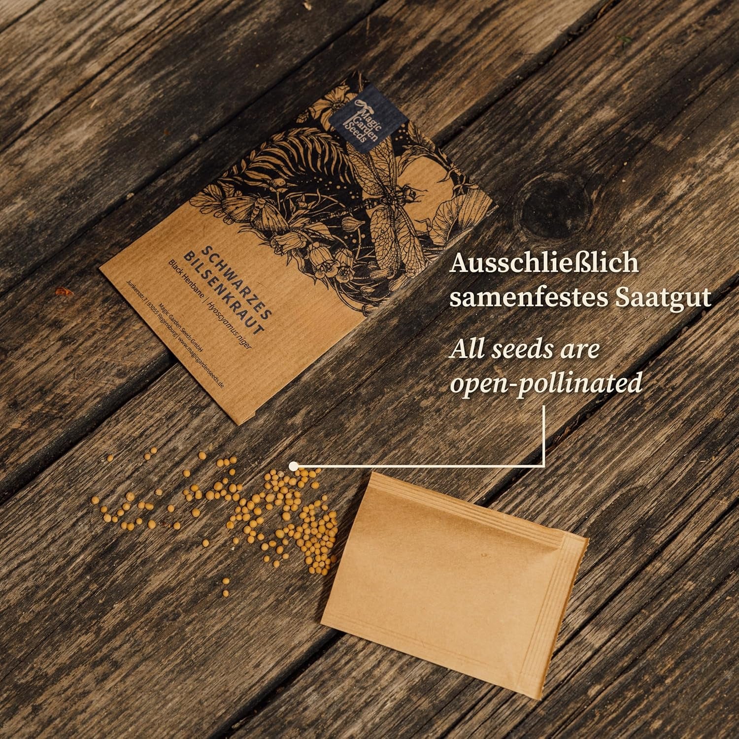 Camomille de teinture (Anthemis tinctoria) - environ 800 graines de la plante tinctoriale traditionnelle et de la fleur sauvage vivace