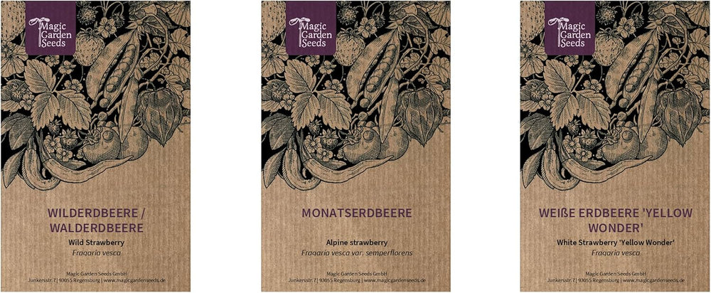 Magic Garden Seeds - Alte Erdbeersorten - Samen Geschenk Set Mit 3 Traditionellen, Köstlichen Sorten - Anzuchtset Mit Weißer Erdbeere, Roter Monatserdbeere Und Walderdbeere