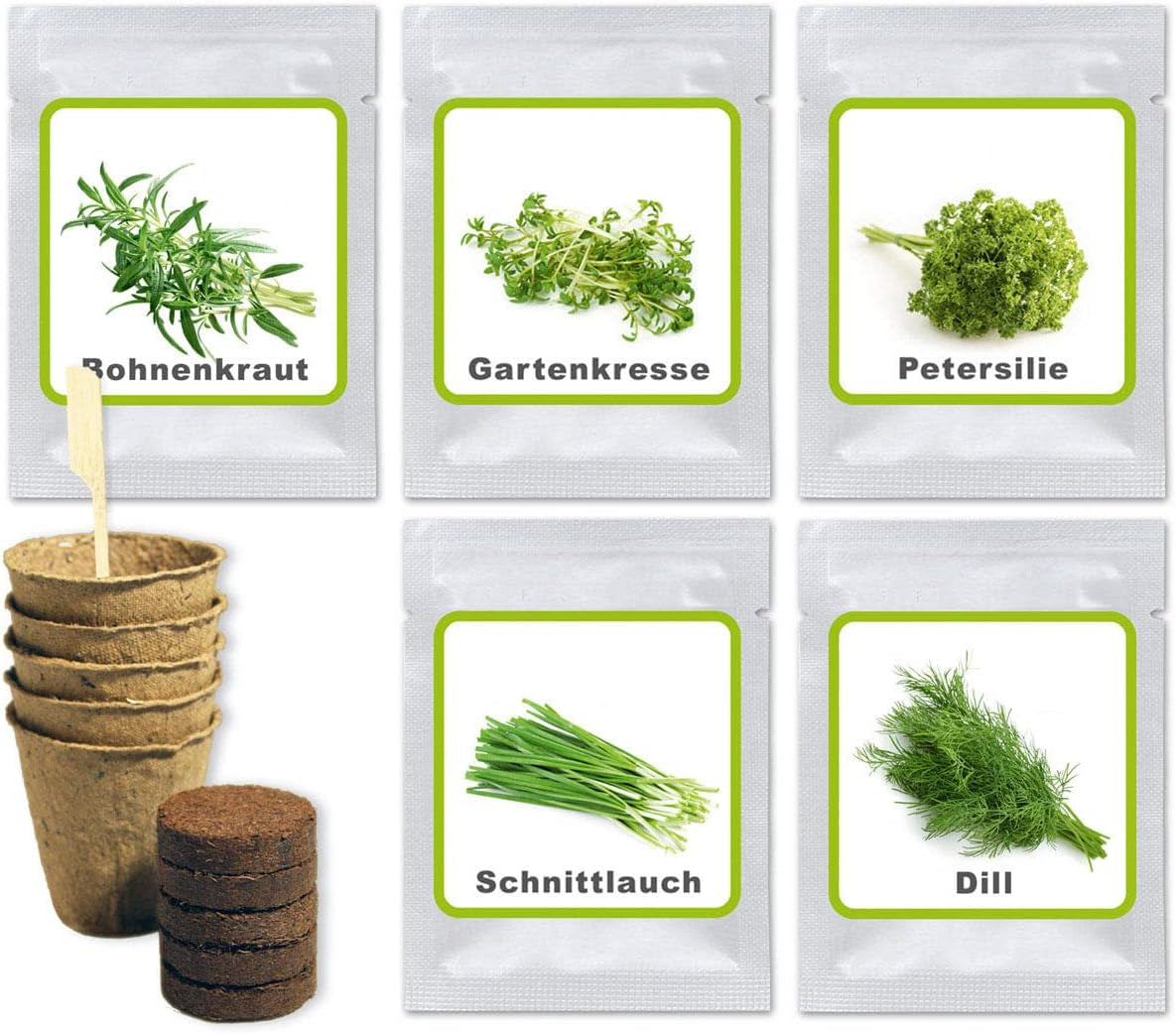 Magic of Nature Oma's Küchenkräuter Box - Anzuchtset - 5 Sorten frische Kräuter Samen - Zum Selberzüchten oder zum Verschenken