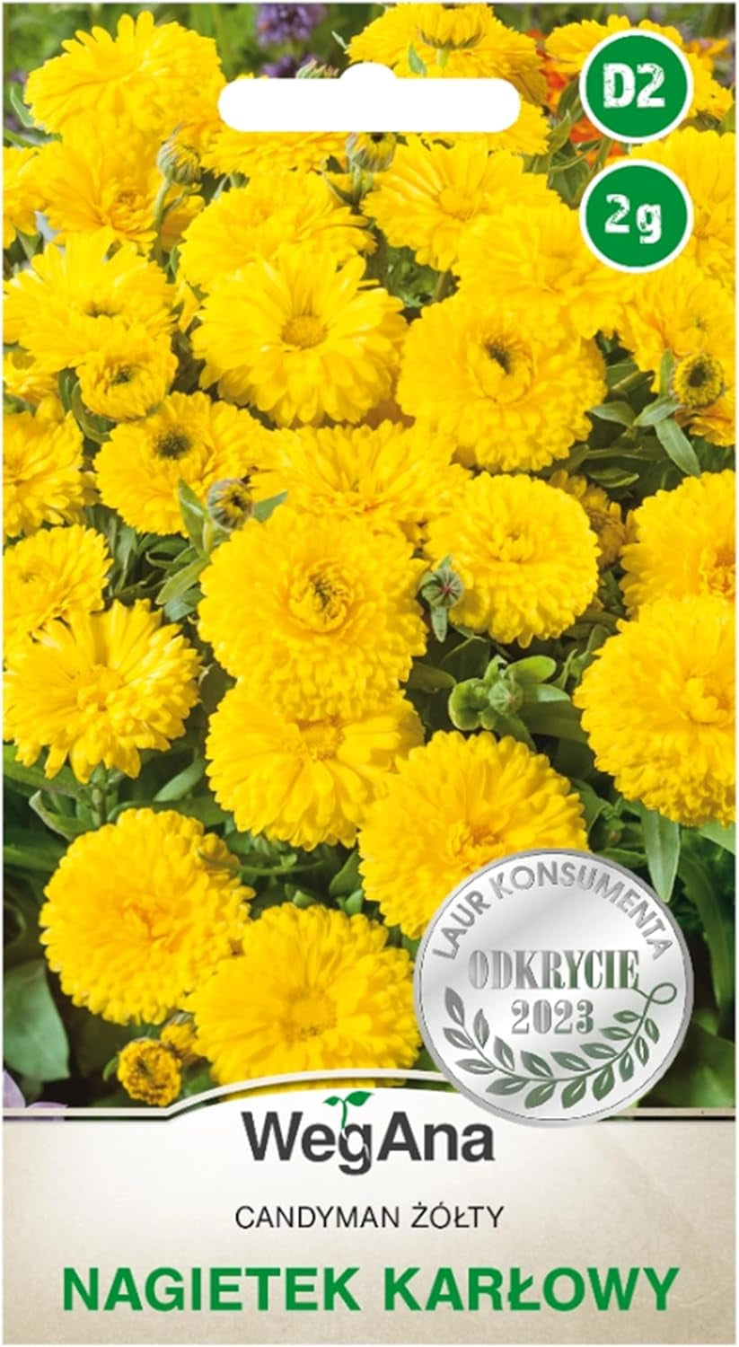 Cosmos Sensation Mix 1g graines, Cosmos Mix Fleurs d'été, Plantes de jardin Plantes de balcon, Graines de fleurs