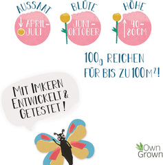 Mélange de fleurs Butterfly Meeting : 100 g de graines de fleurs de papillon de qualité supérieure – Graines d'abeilles respectueuses des insectes, graines de fleurs vivaces et annuelles pour les prairies – Graines de fleurs sauvages de OwnGrown