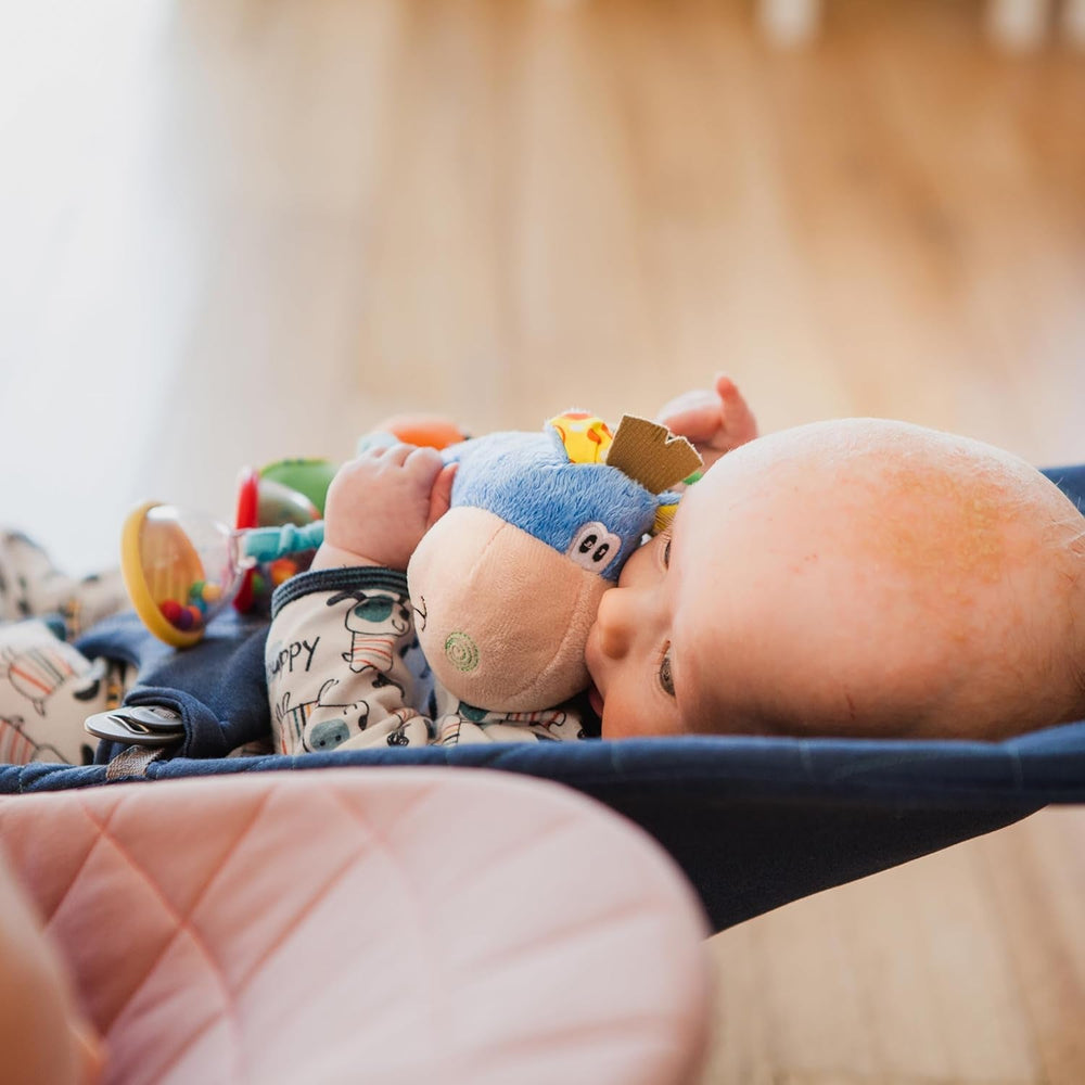 Playgro 101145 Cal de pluș cu zornăitor, jucărie educativă, de la 3 luni, fără BPA, Playgro Toy Box Horse Klipp Klapp, albastru/colorat, 40016, dimensiuni: 15 x 6 x 20 cm , 1 buc Jucarii Bebe Naty Shop