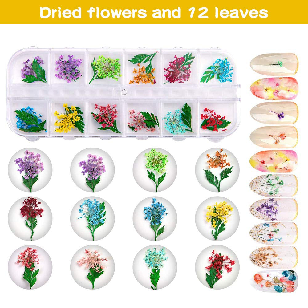 Getrocknete Blüten Nail Sticker, 2 Box 36 Stücke 3D Nail Art Kunstharz Blumen Sticker, Blüten Getrocknet Nagelkunst Trocken Blumen Nagel Zubehör für Nagel Dekor DIY Design avec 1 pince à épiler