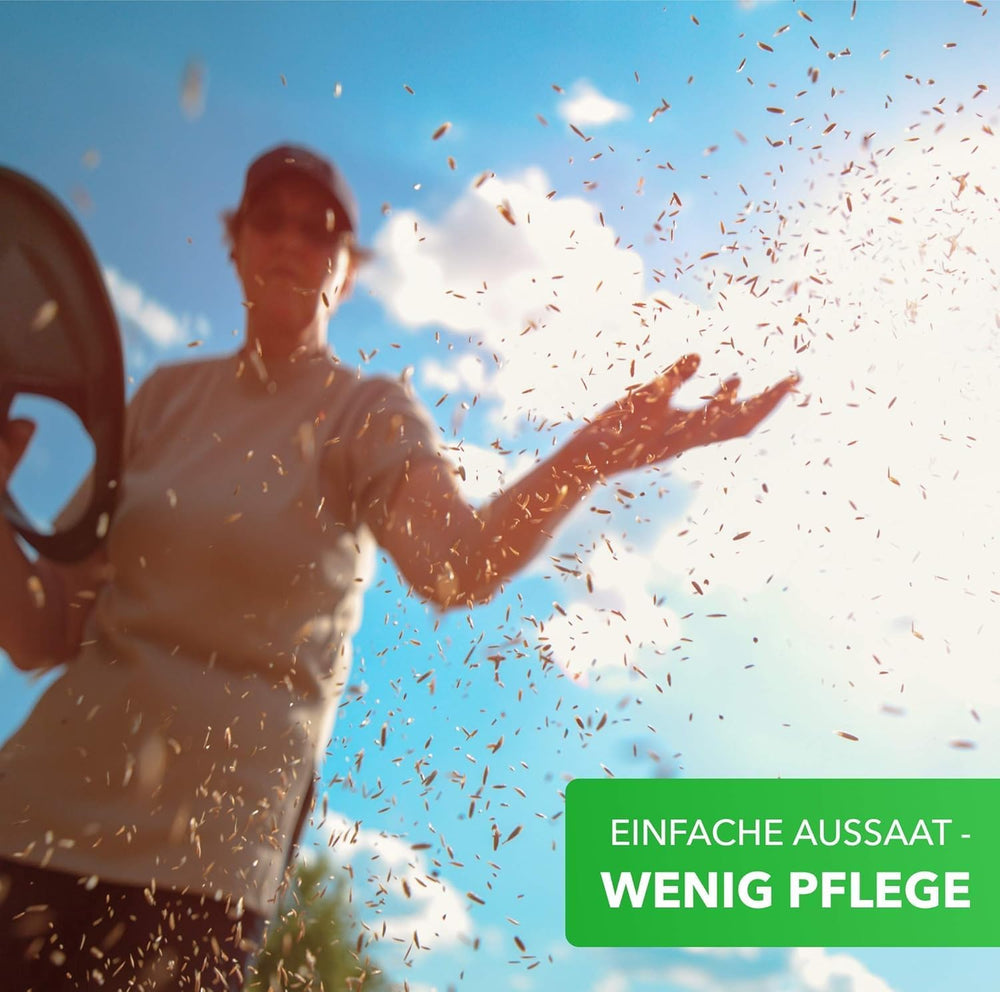 Mélange de graines de fleurs Magic of Nature - Bee Paradise - 1 kg - Facile à utiliser - Apiculture fleurie - Conseils de semis - Pour 300 à 500 m²