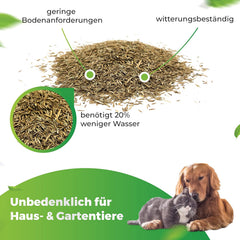 Greenyp® Sunny I Dürreresistenter Trockenrasen I 0,2Kg Für 10M² I Grassamen Rasensamen Rasensaat Gras Nachsaat Schnellkeimend