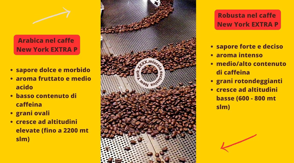 New York Coffee - EXTRA P - Café en grains, goût fort et décisif, grains Arabica et Robusta, à moudre, expresso italien, mélange de bar - qualité premium depuis 1930 - 1 kg, grains