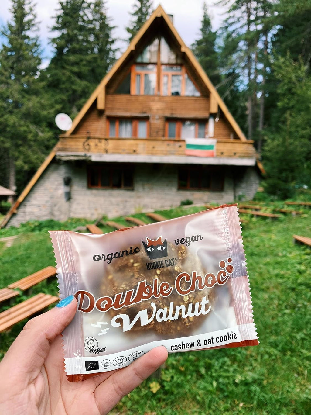 Ciocolată dublă cu nuci - Fursecuri vegane, fără gluten, fără soia, organice, cu caju și ovăz - 12 x 50g pachet multiplu (pachet de 2)