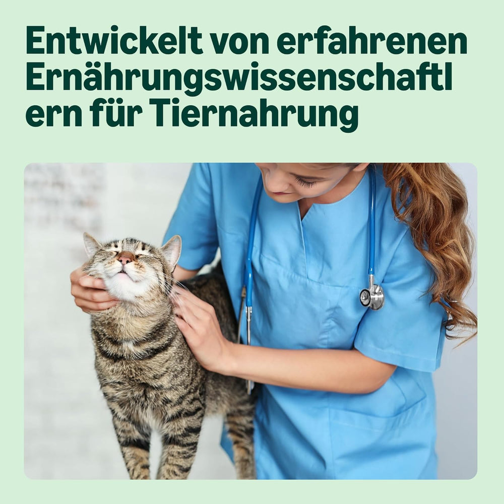 par Amazon Katzenfutter, nass, Dose, Stücke mit Geflügel in Sauce, 12 x 415 g