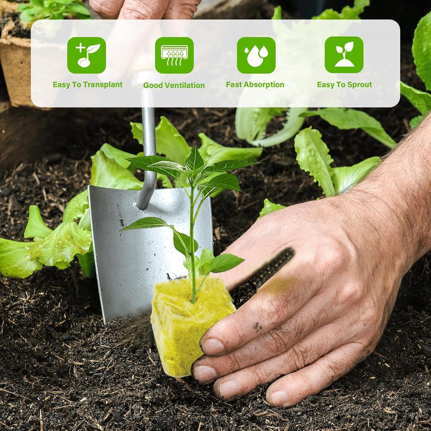 100 pièces de laine de roche Anzucht Würfel 2.5x2.5x2.5CM Rockwool Cube Anzuchtmatte Steinwolle Anbau Hydrokultur Umpflanzen für Bodenlose Anzucht Setzlinge Stecklinge Klonpflanzen