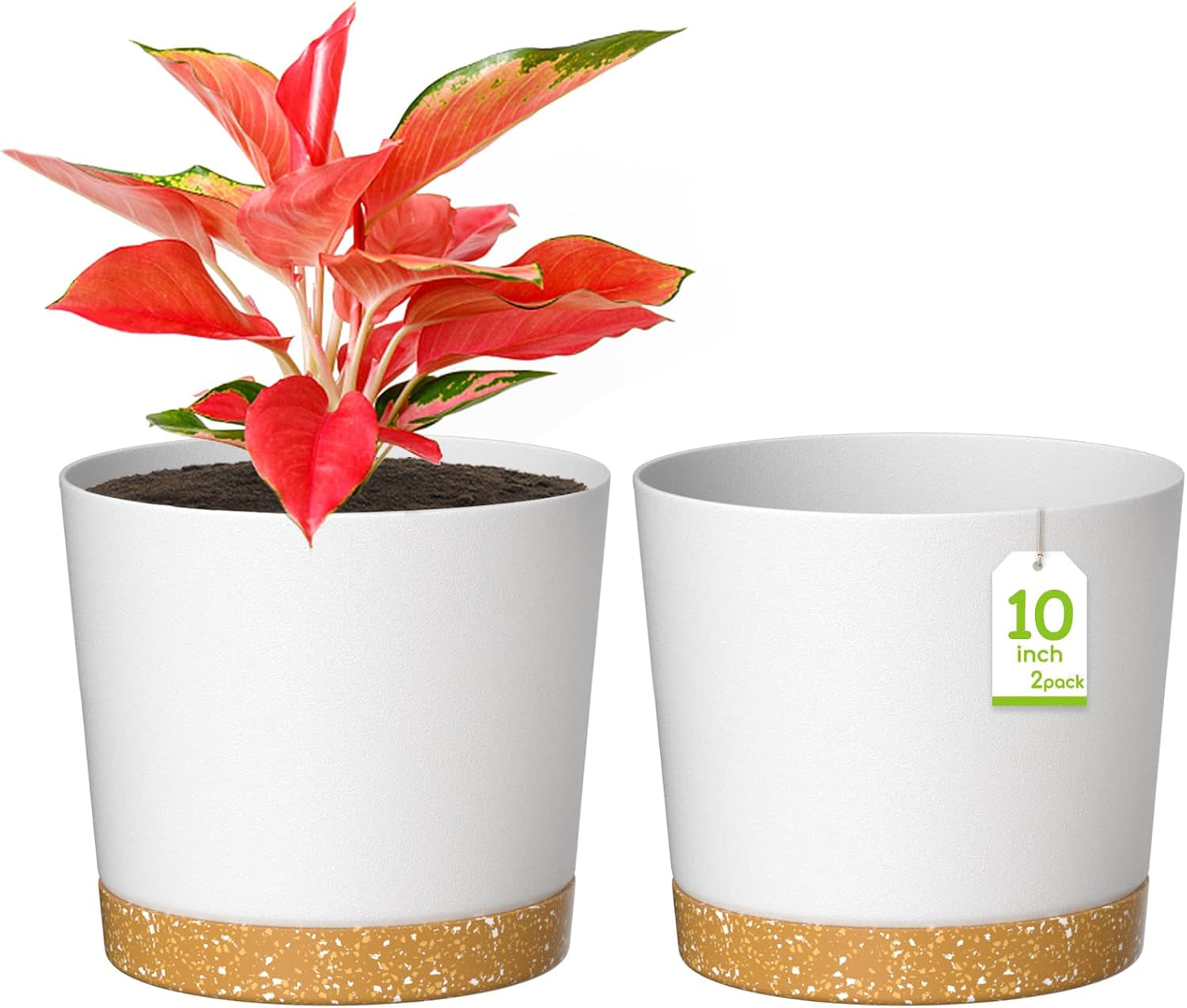 Ghiveci de flori ZMTECH cu diametrul de 25 cm pentru plante de apartament, ghivece de flori din plastic cu farfurie și găuri de drenaj, ghivece rotunde pentru plante de interior și exterior (set de 2, alb)
