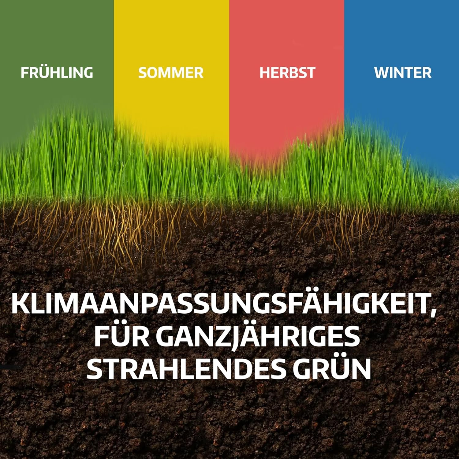 LERAVA Rasensamen Bermudagras (200 G) - Für 20 M² - Extrem Trittfest Und Trockenheitsresistent - Schnellwachsender Rasen Für Mediterrane Und Küstennahe Flächen - Spart Bis Zu 20% Wassera
