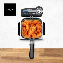 Taurus Professional 2 plus - Friteuse à huile, 2 litres, 1700 W, inox 18/8 Electroménager Naty Shop