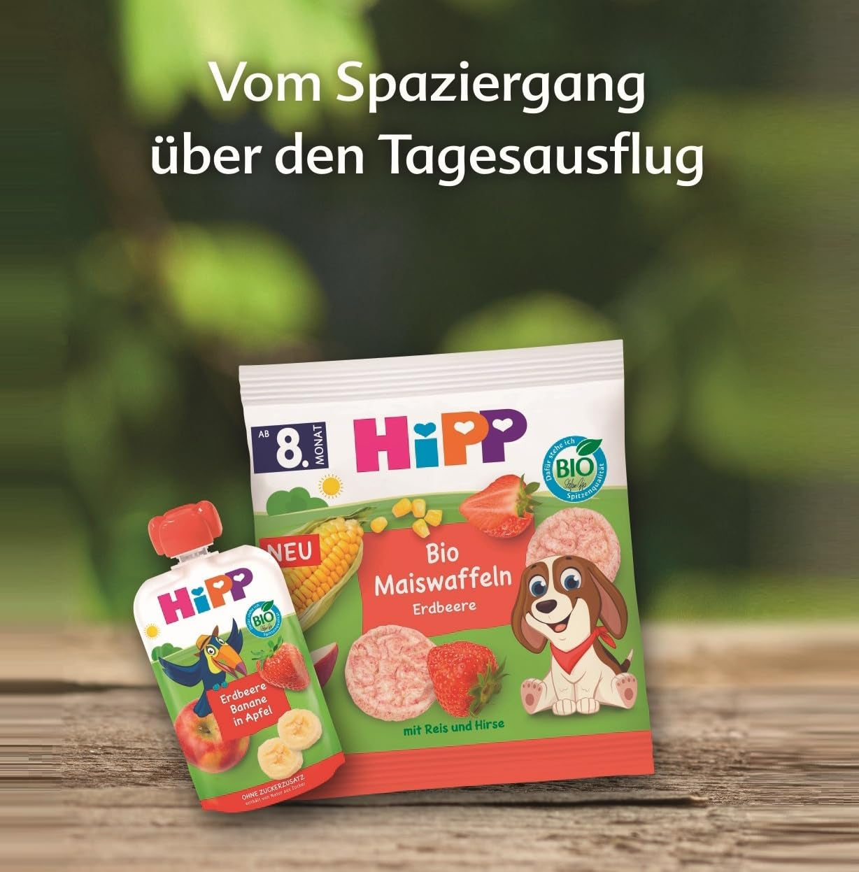 HiPP Bio Quetschie Kiwi in Birne-Banana - Charlie Zebra (8 x 100g), à partir de 1 an, 100% purée de fruits, sans sucre, végétalien, dans la meilleure qualité biologique (Packung mit 2)