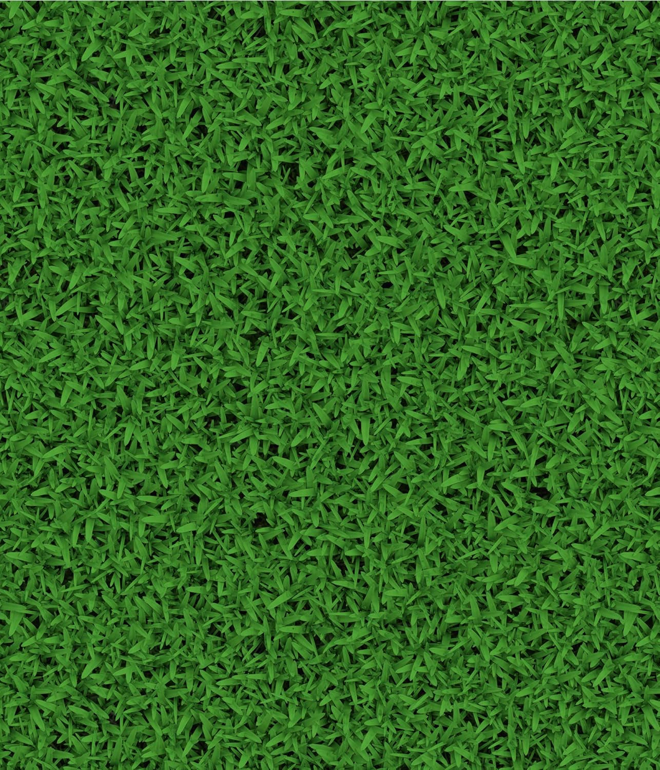 Dehner Saatgut Trockenrasen, Hochwertige Rasensamen Für Strapazierfähigen/Trockenheitsresistenten Rasen, Schnell Keimend/Pflegeleicht, Ideal Für Heiße Sommermonate, 3 Kg Für Ca. 100 M²