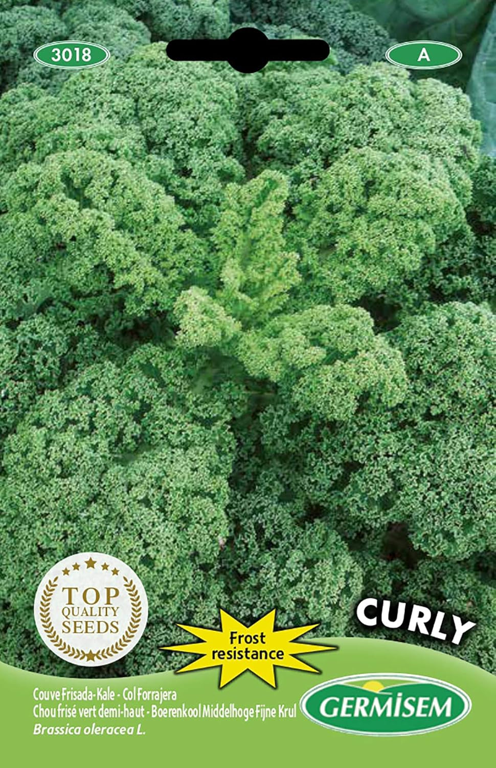 Grünkohl CURLY, Mehrfarbig, EC3018