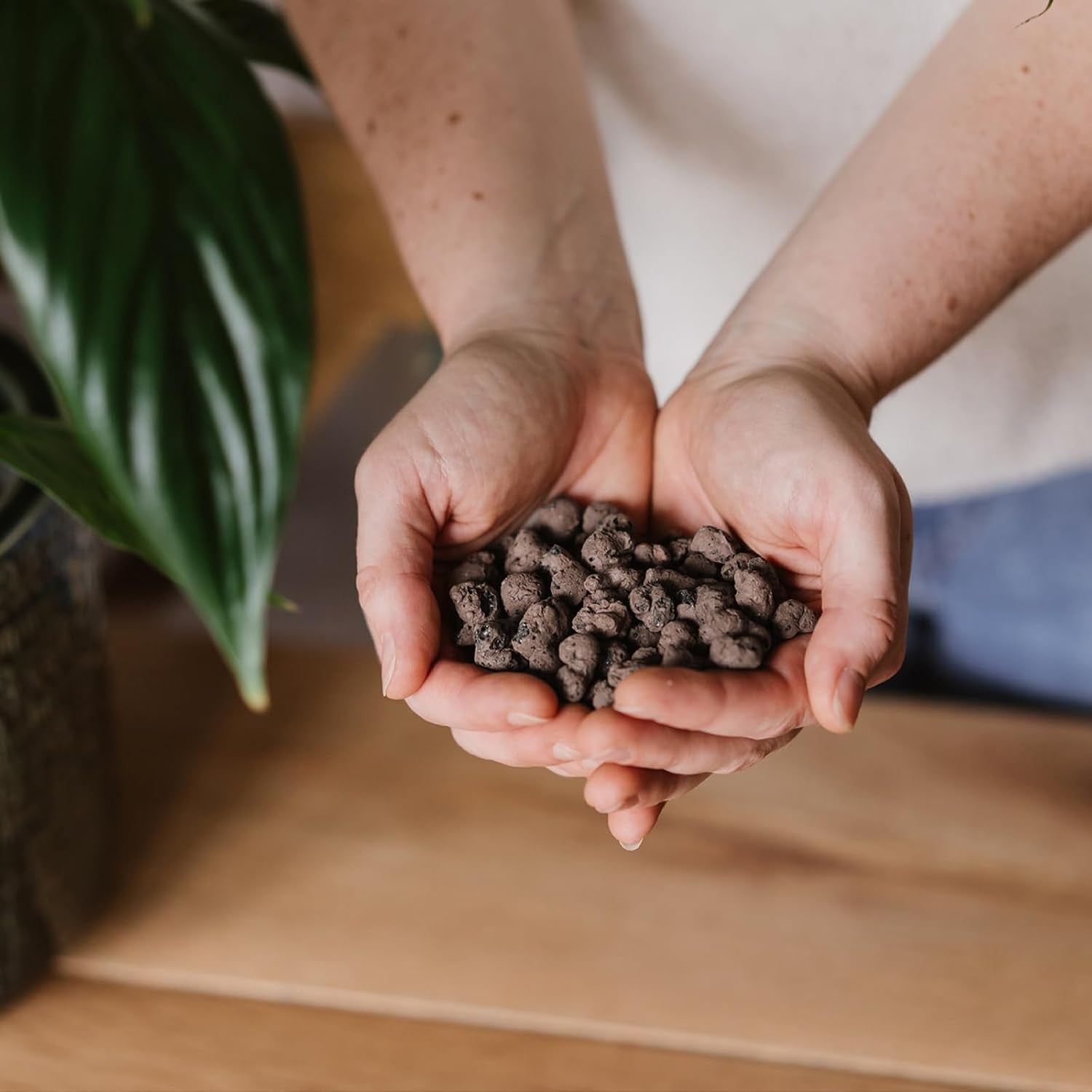 Westland Clay Granules, 5 L - Granules pour plantes idéales pour la culture hydroponique, substrat drainant sans additifs chimiques, pour usage intérieur et extérieur