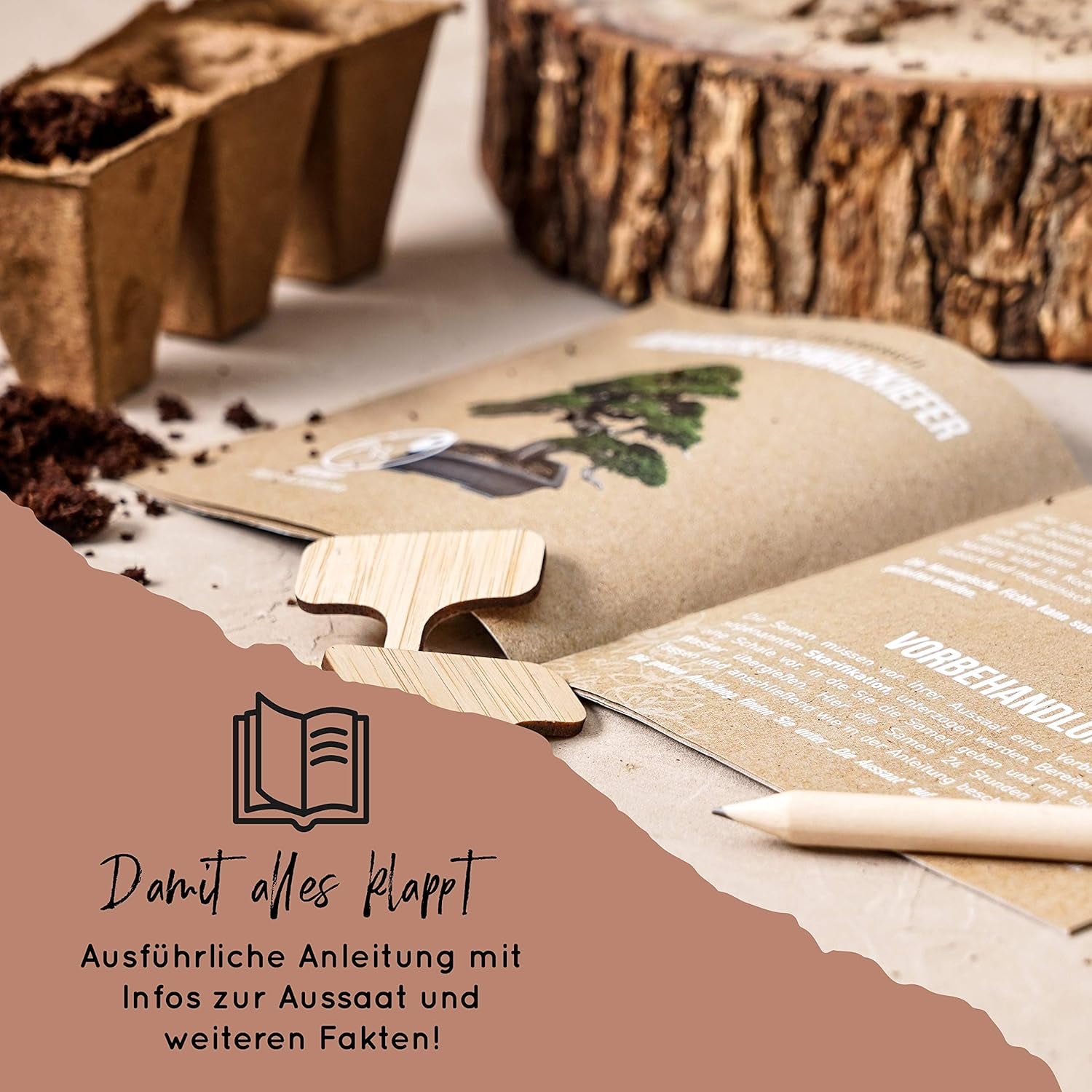 10 graines de bonsaï des 5 continents | Graines d'arbres exotiques pour votre bonsaï unique | Kit de démarrage et passionnés de plantes | Notre coffret bonsaï comme idée cadeau spéciale