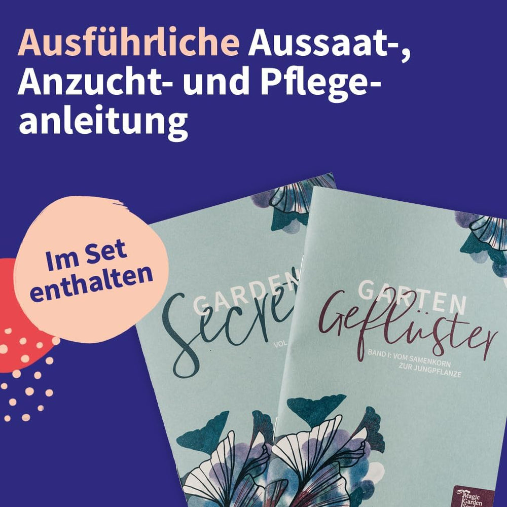 Magic Garden Seeds - Ensemble de graines de plantes médicinales d'Europe centrale - 12 variétés traditionnelles de plantes médicinales populaires - Variétés d'héritage - Accessoires de jardin - Graines de plantes - Cadeau pour les amateurs de jardin