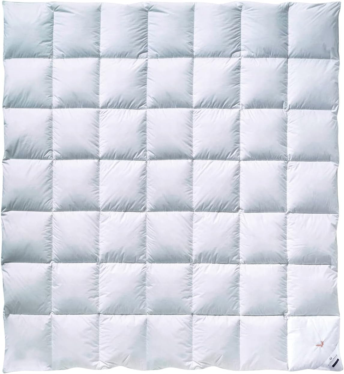 Billerbeck Couette en duvet - E04 Gold Edition - Couette toutes saisons - 135 x 200 cm Couette en duvet véritable - Chaleur moyenne Naty Shop Couettes et couettes Medium (M) 200 x 200 cm