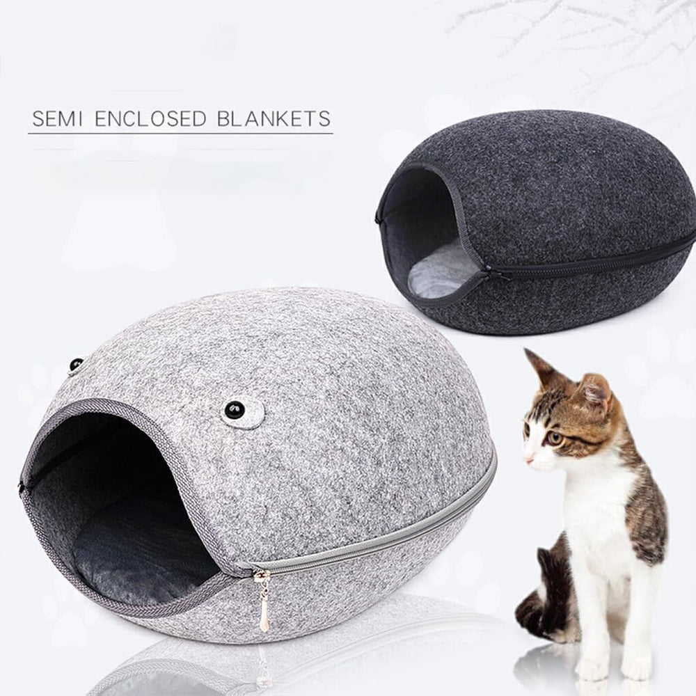 Animale de companie, câini, antrenament la oliță, scutece și protecție pentru podele