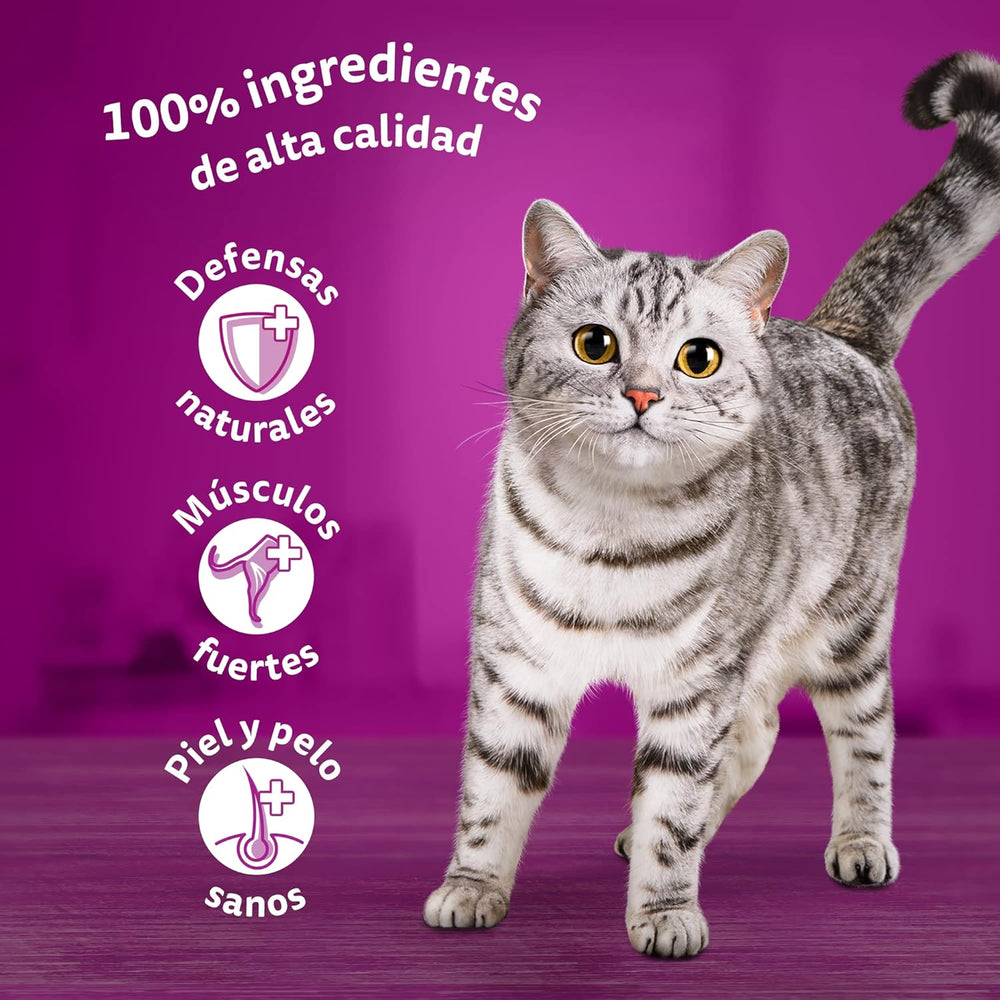 Whiskas Nassfutter für ausgewachsene Katzen, Fischauswahl en gelée (Multipack, 4 x 12 x 85 g)