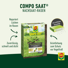 COMPO SAAT Nachsaat-Rasen - Für Lücken Und Kahle Stellen - Zuverlässiger Nachsaatrasen - Hochwertige Saatgutmischung Mit Premium-Mantelsaat - 2 Kg Für 100 M²