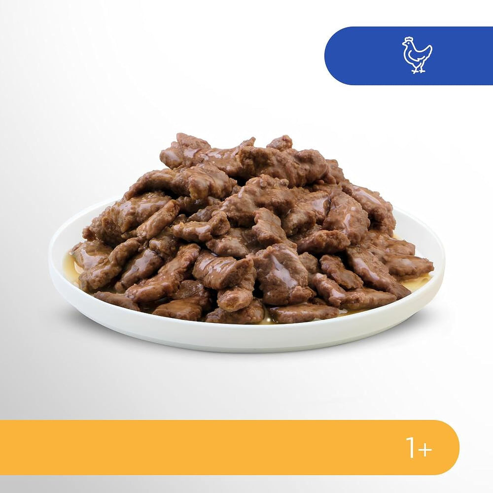 Nourriture humide pour chats Perfect Fit Sensitive 1+ au poulet en sauce, 12 sachets, 12 x 85g - Nourriture humide premium pour chats sensibles à partir de 1 an, sans blé ni soja, pour favoriser la digestion