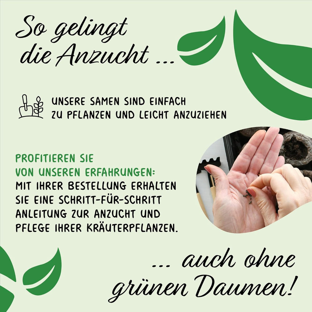 Prademir – Kräutersamen Set aus 16 beliebten Küchenkräutern – Kräuter Anzuchtset mit 100% Natursamen au Portugal – Kräuter Saatgut à l'origan, thym, marjolaine, romarin, aneth, basilic, sauge uvm