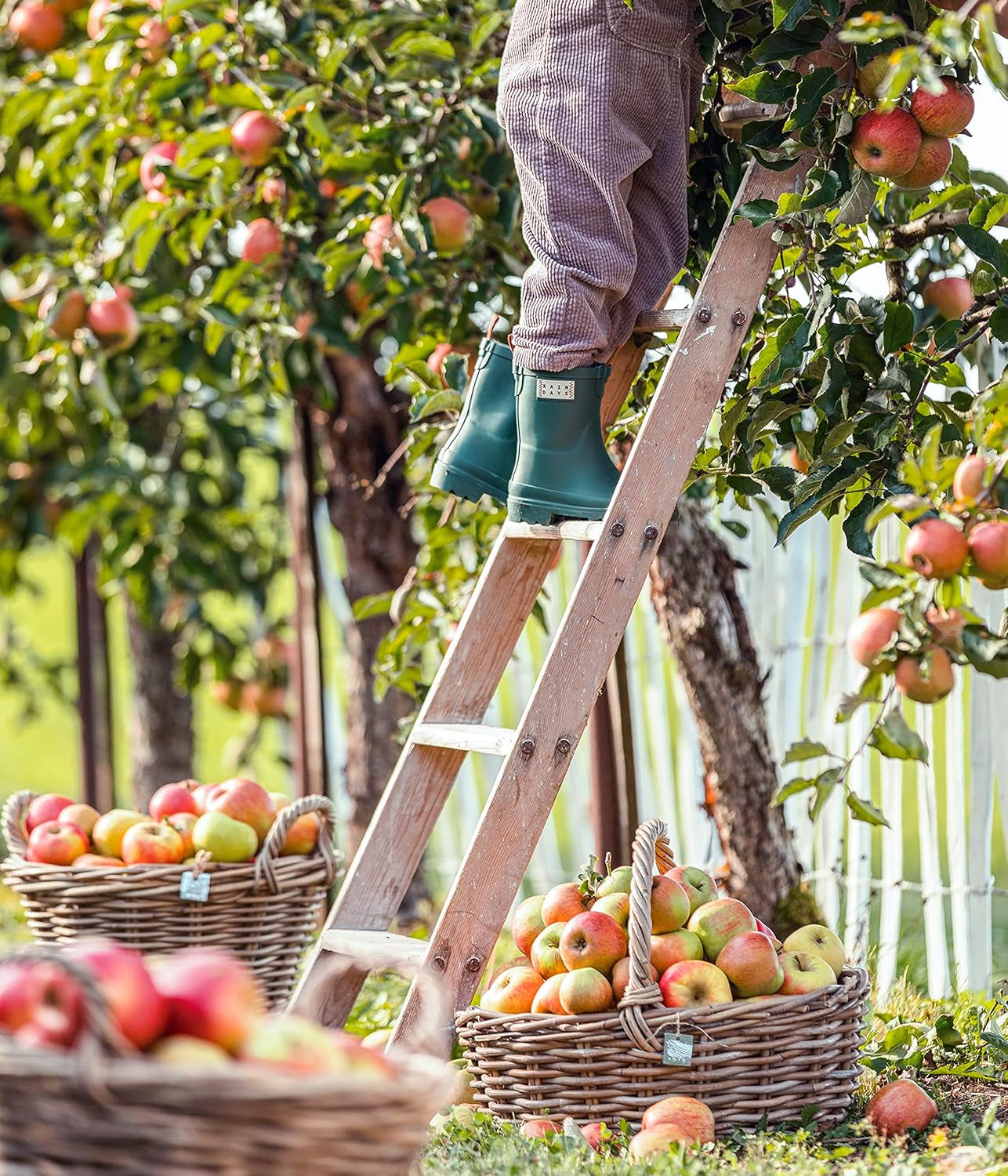 Panier à fleurs en rotin Dehner avec anse, env. 46 x 39 x 18 cm, tissu rotin, gris/marron