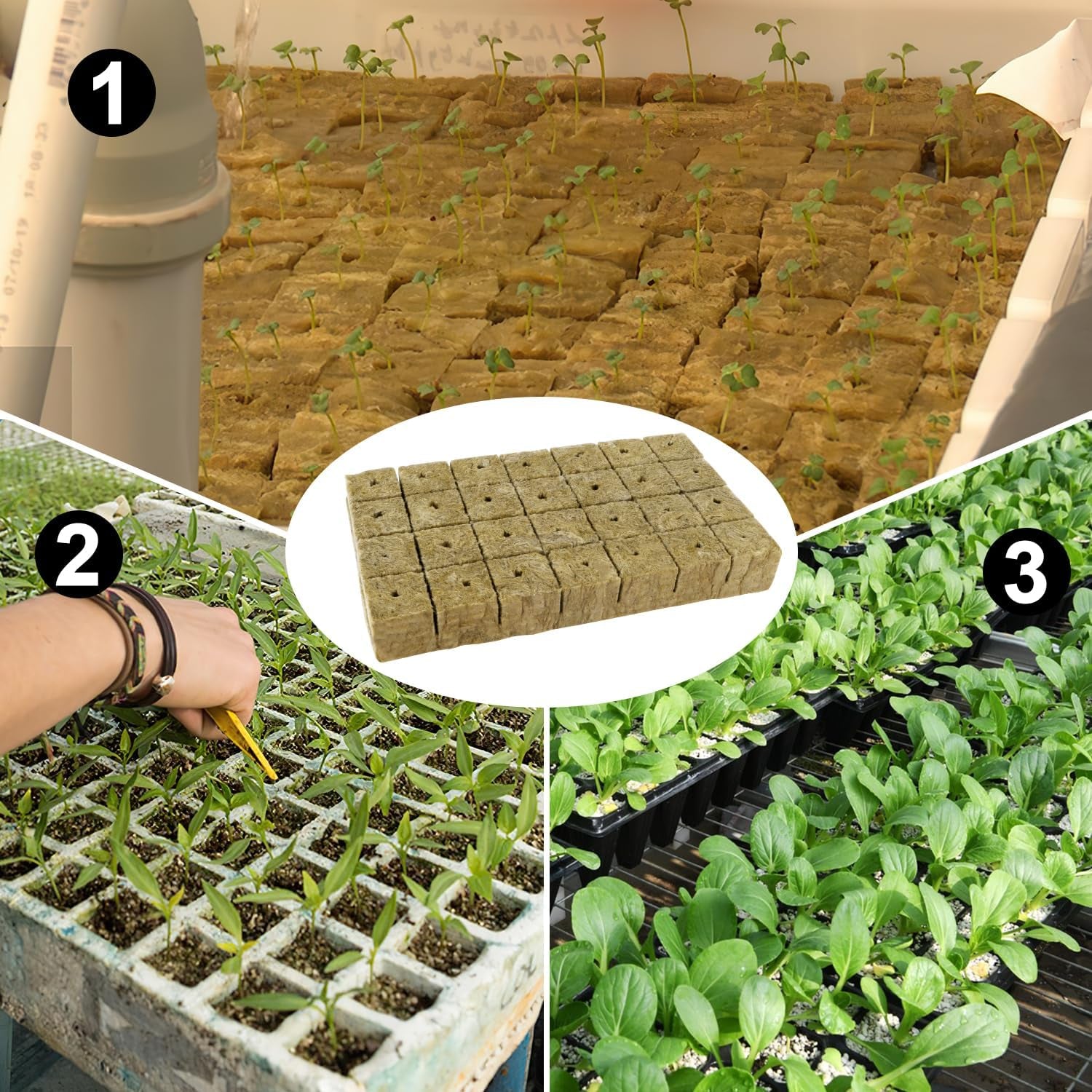 Cubes de semis de laine de roche, 56 pièces, 4x4x4cm. Respectueux de l'environnement et bien aéré pour la culture hors sol de semis, boutures et clones.