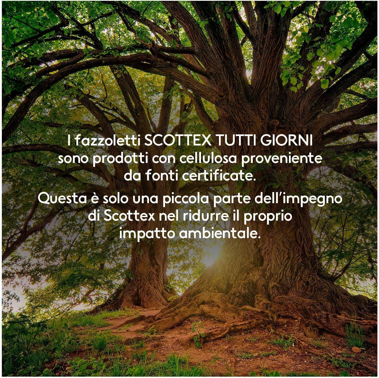 Serviettes pour tous les jours, 1 paquet de 56 paquets