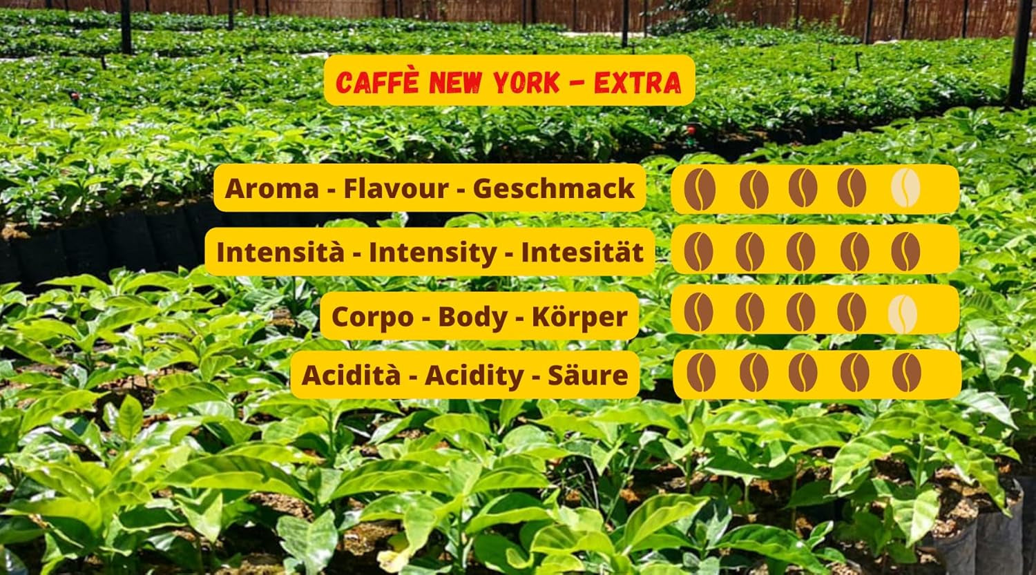 Café en grains New York Caffe EXTRA 500g