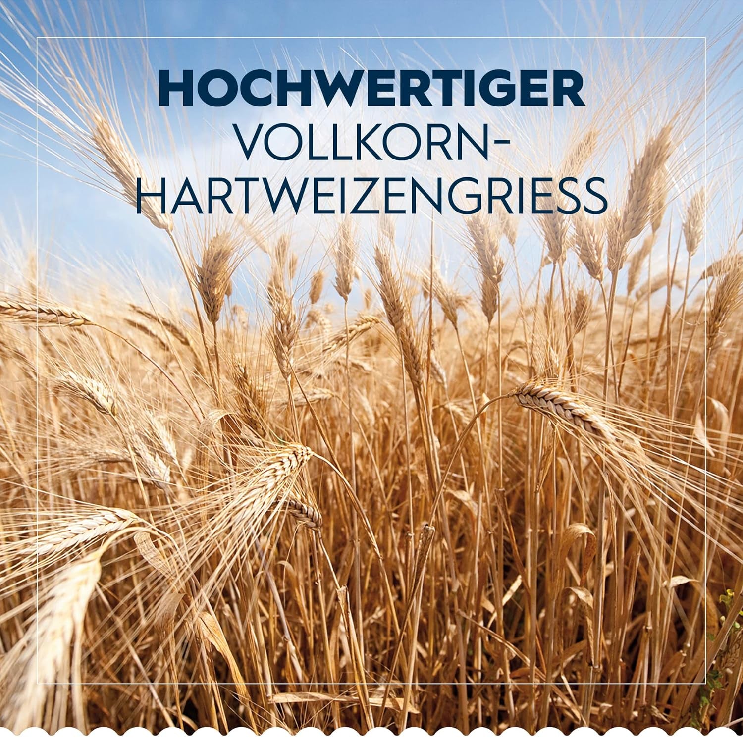 Pâtes complètes Barilla Pennette Rigate, paquet de 9 (9 x 1 kg)