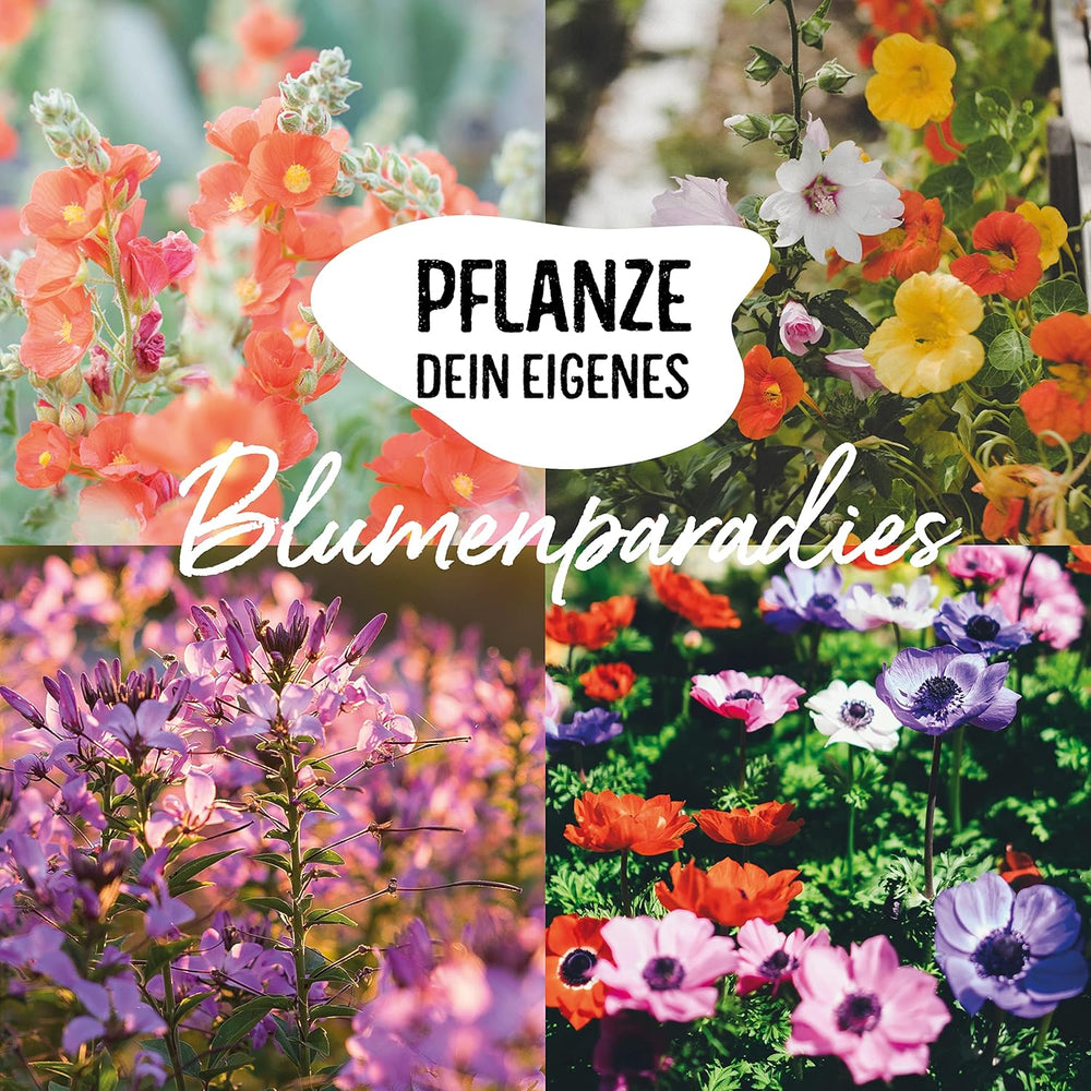Ensemble de graines de fleurs biologiques | 12 variétés de graines de fleurs | Graines de fleurs haut de gamme | Ensemble de graines de plantes de graines de fleurs sauvages | Graines de fleurs | Graines de fleurs pour le balcon | Cadeau idéal avec des graines de fleurs