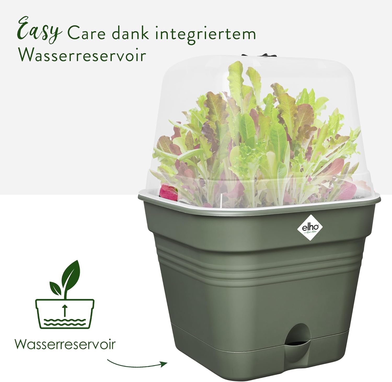 elho Green Basics Ghiveci Pătrat pentru Răsaduri Allin1 15 - Ghiveci pentru Flori pentru Cultivare - 100% Plastic Reciclat - Ø 15.0 x H 12.1 cm - Verde/Verde Frunză