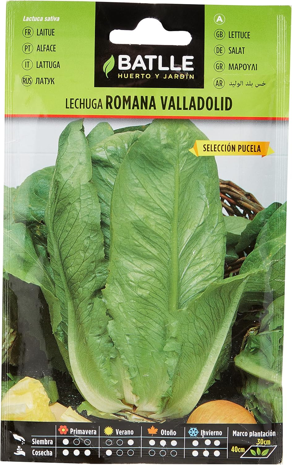 Batlle Gemüsesamen - Hellgrüner Römersalat (6400 Samen)