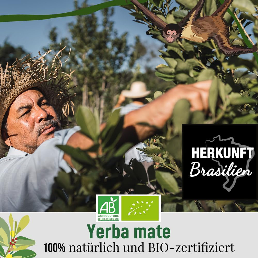 ORIGEENS BIO YERBA MATE CU LĂMÂIE ȘI GHIMBIR 200 G - Ceaiul energizant I Ceai Yerba Mate bio neprăjit, frunze, fără tulpini și praf