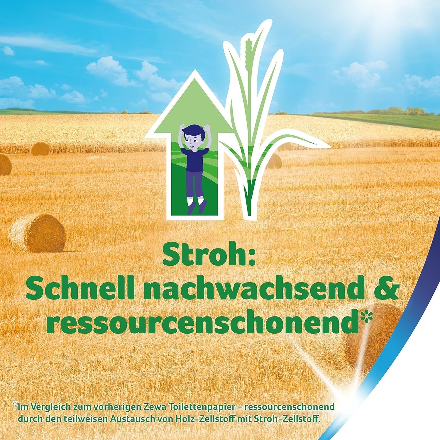 Zewa Proven Camomille Papier toilette avec paille 7X 8Rolls