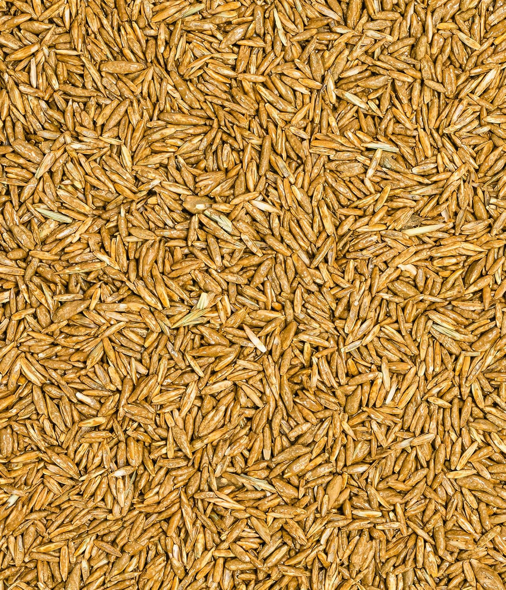 Dehner Bio Saatgut Rasen-Nachsaat, Hochwertige Saatgutmischung, Raschwüchsig / Schnellkeimend, 500 G, Für Ca. 25 M², Natur