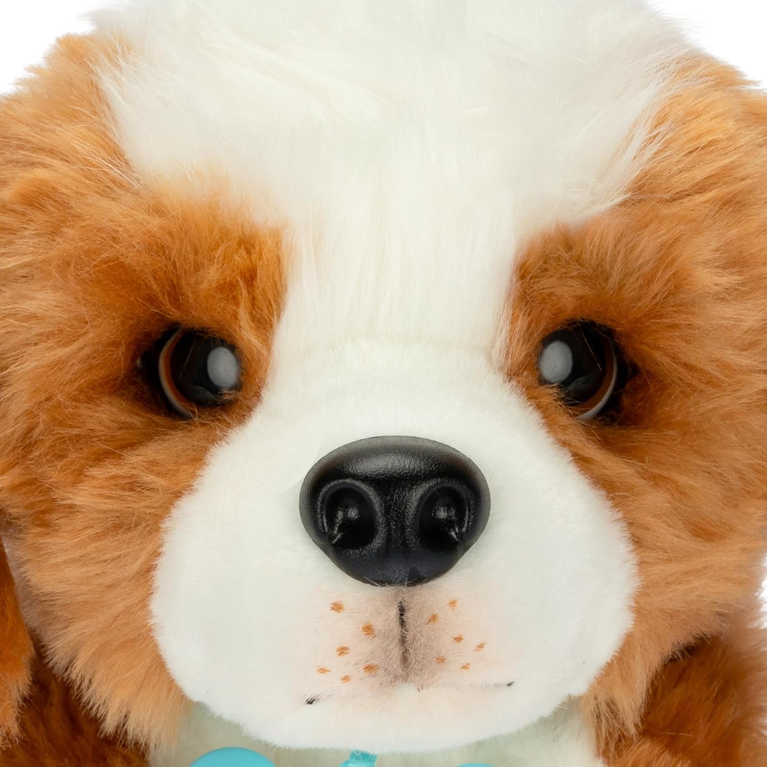 Little Live Pets My Really Real Puppy – Patches; Interaktiver Welpe; 60+ Geräusche/Reaktionen; realistisches Aussehen; 1 aus 72 Varianten; Spielset mit Transportbox; Batterien enthalten; ab 5 Jahren