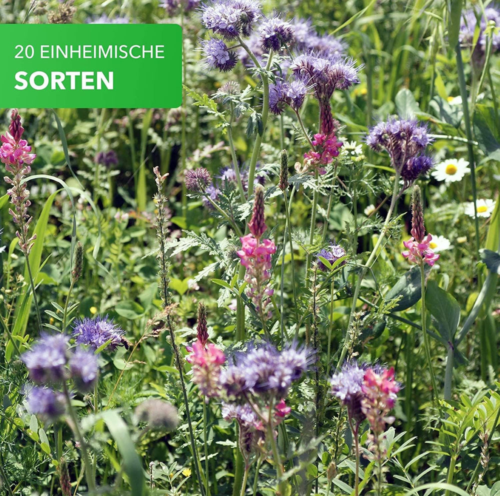 Magie de la Nature 800gr. Blumensamen Mischung - Bienen Paradies - Blumensamen Bienenweide für 150 bis 250 m²