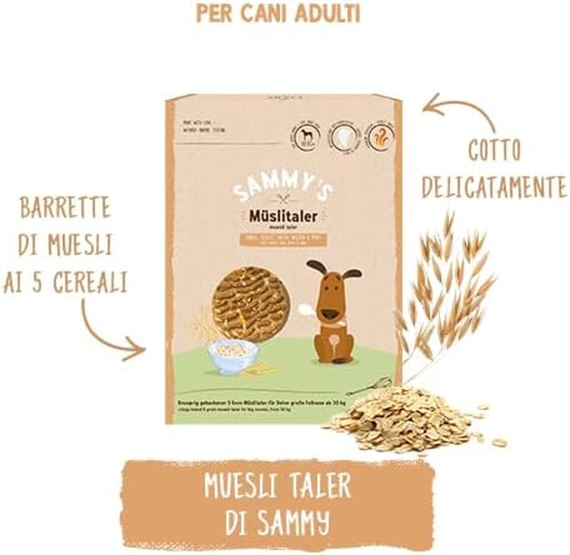 Pièces de monnaie Muesli de Sammy | Collations croustillantes au four pour chiens | 5 pièces de muesli aux céréales pour votre grand ami à quatre pattes (30 kg+) | 1kg