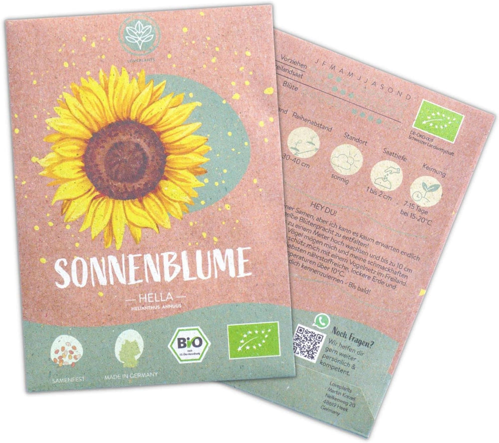 Graines de tournesol biologiques, ramifiées, 20 graines de tournesol à taux de germination élevé, graines de tournesol pour le jardin, le balcon, le parterre de fleurs ou comme cadeau d'invités. Graines de fleurs pollinisées gratuites.