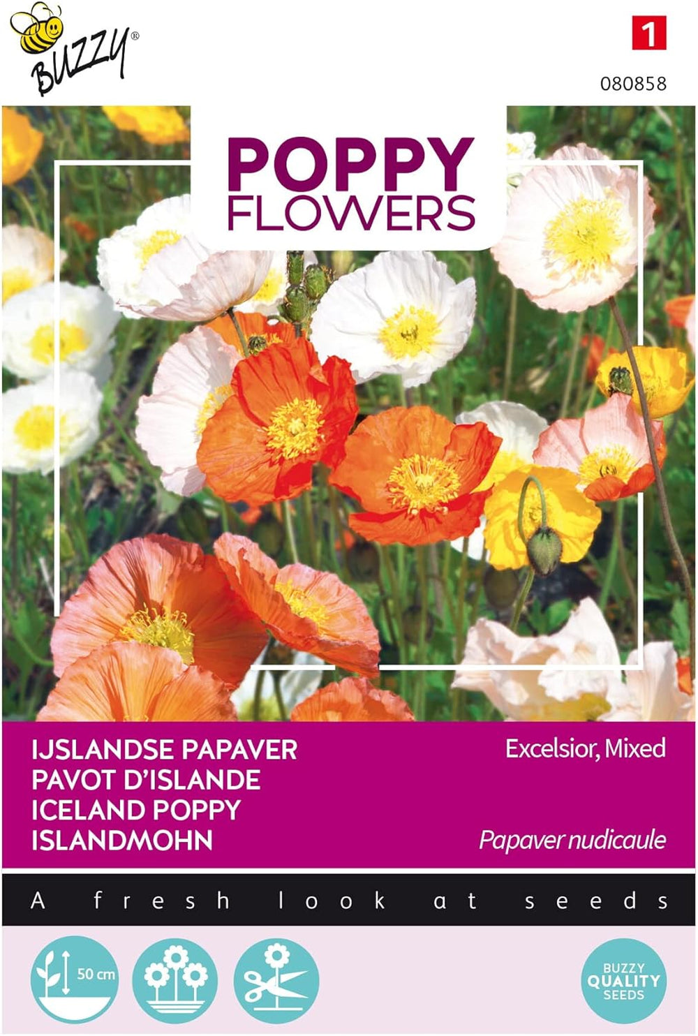 Fleurs de pavot Buzzy Poppy Islande