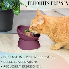ne&no® Silikon Katzennapf erhöhet mit Verstellbarer Neigung | Futternapf Katze erhöhet | Katzen Futternapf erhöhet | Katzen Napf