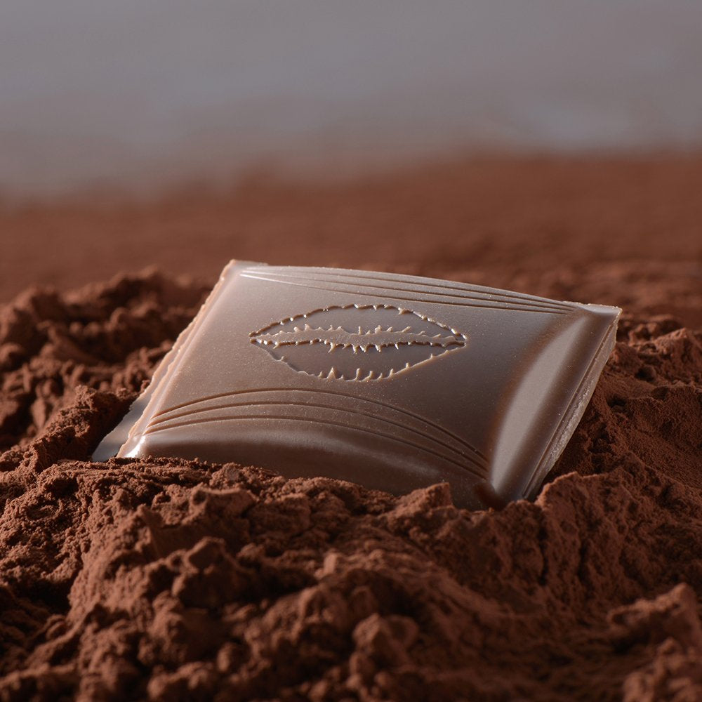 BONJOUR Chocolat Caramel Salé | Barre 100g | Chocolat au lait fourré au caramel salé | Barre de chocolat | Cadeau chocolat (paquet de 5)