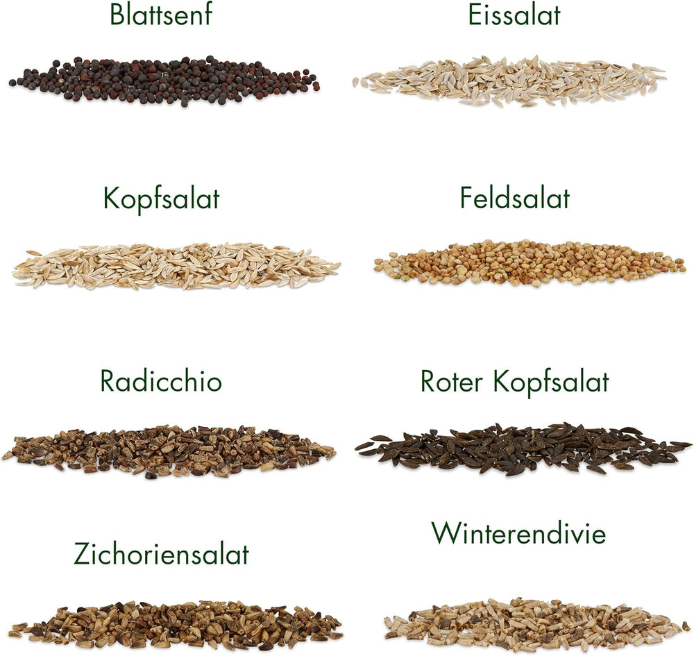 Graines de Laitue : Ensemble de 8 Variétés de Graines de Salade pour le Jardin et le Balcon - Graines de Laitue, Feuille de Moutarde, Mâche (Hardy), Radicchio, Graines d'Endive, Chicorée - Graines de Légumes à Salade de OwnGrown